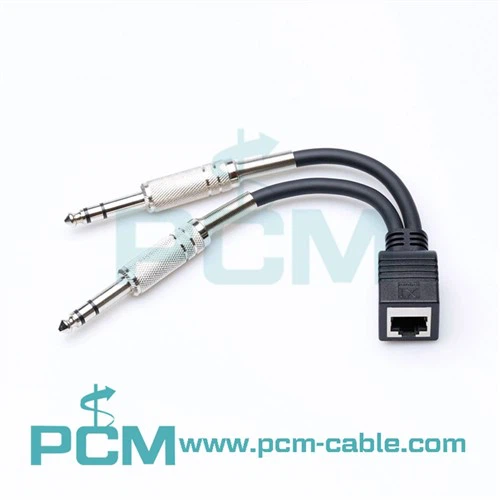 RJ45 hona till DUBBLA 1/4 TRS hanadapter