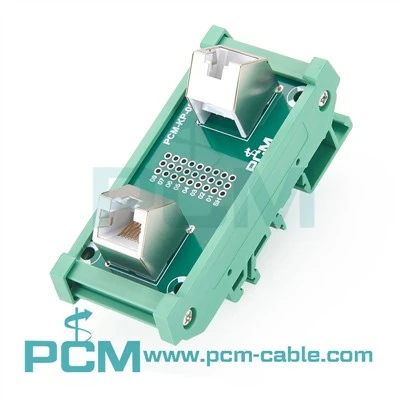 Din-skena monterad Dual Port RJ45-gränssnittsmodul 45 grader