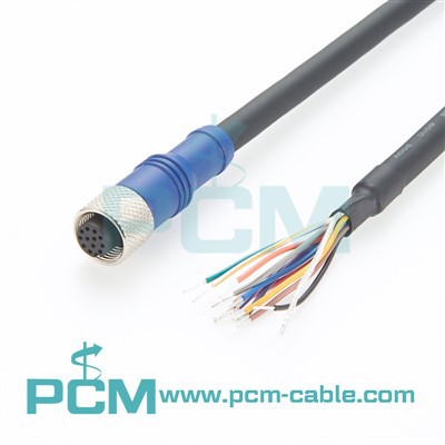 M12 En kod 12 -stift till flygande blykraft och I/O -kabel